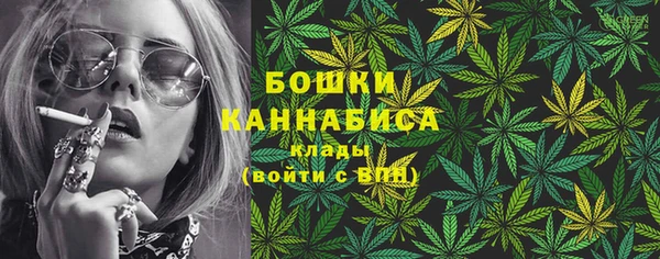 стаф Аркадак