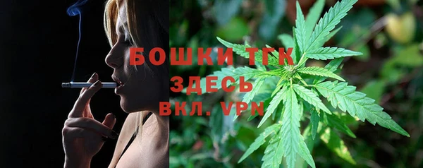 стаф Аркадак
