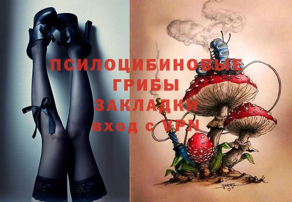 спайс Арсеньев