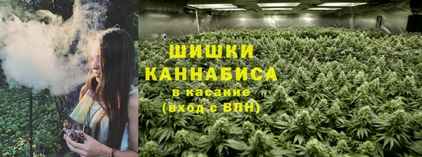 спайс Арсеньев