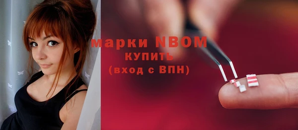 стаф Аркадак