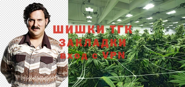 спайс Арсеньев