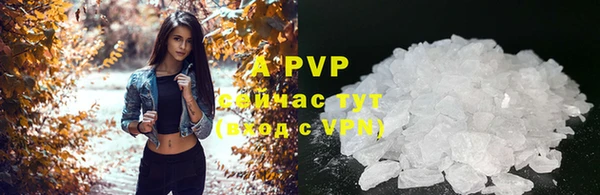 стаф Аркадак