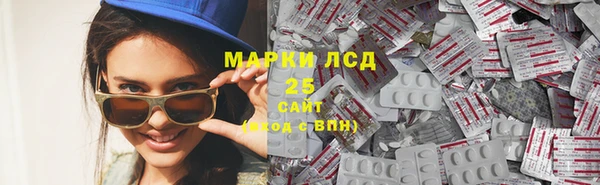 стаф Аркадак