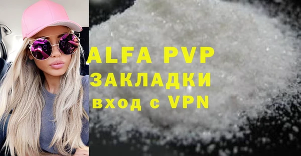 стаф Аркадак