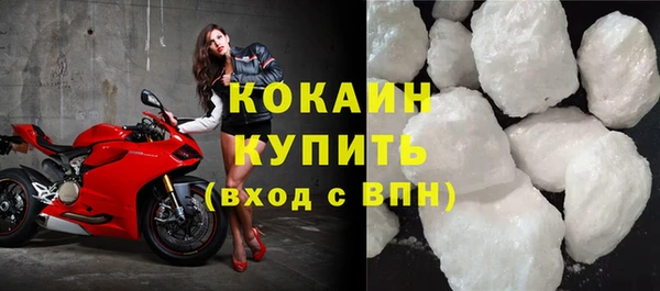 стаф Аркадак