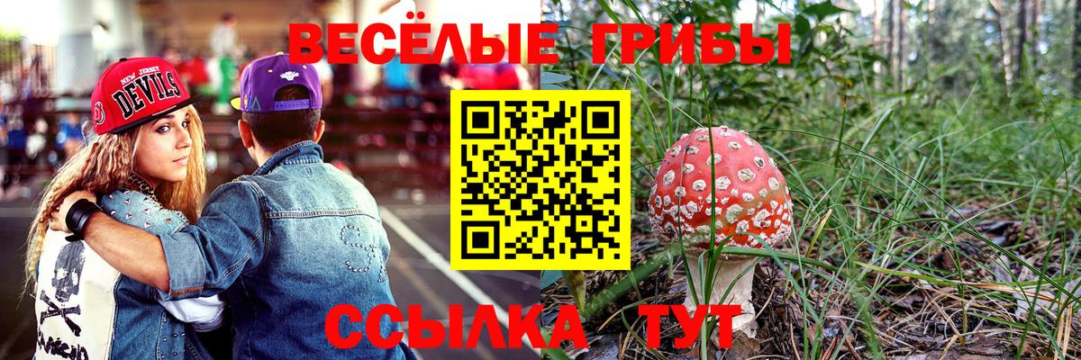 Галлюциногенные грибы Cubensis Дзержинск