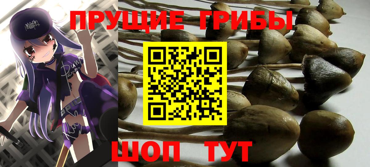 Галлюциногенные грибы Magic Shrooms  Вход с VPN  Дзержинск  Псилоцибиновые грибы Cubensis 
